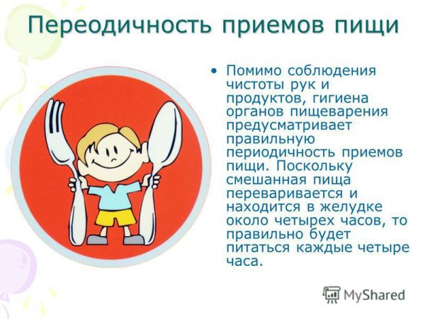 Памятка гигиена органов пищеварения
