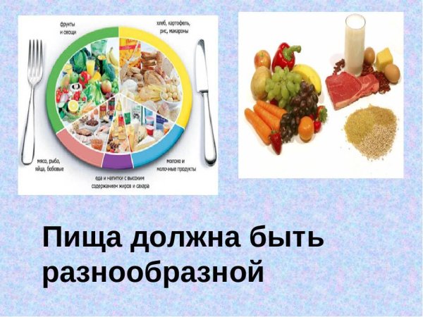 Питание и пищеварение