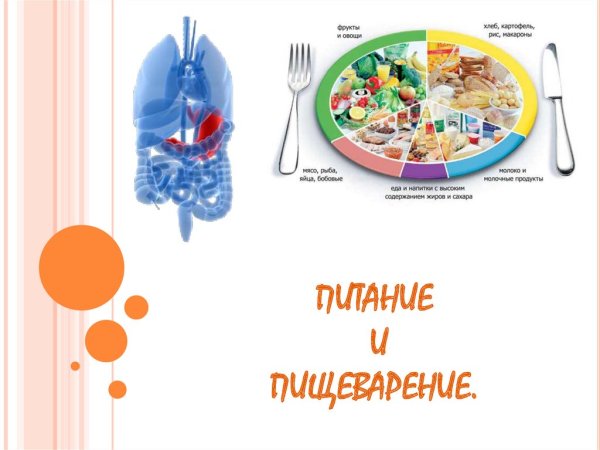 Профилактика заболеваний пищеварения
