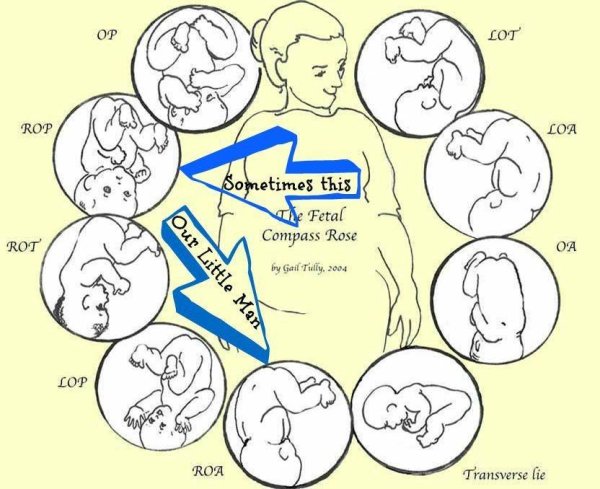 Беременность на оазных.сроках
