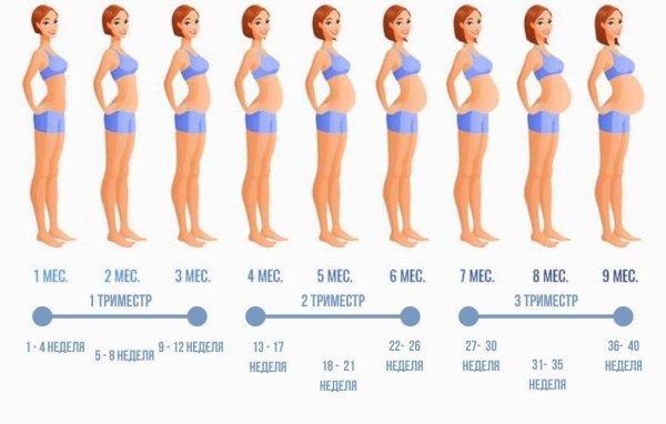 Роды на 6 месяце беременности