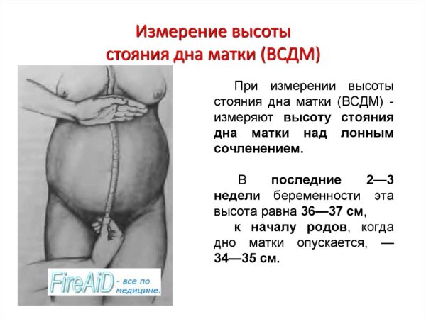 ХГЧ показатели при беременности таблица