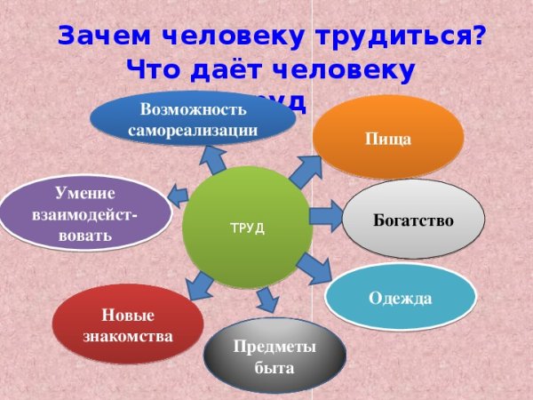 Труд в жизни человека