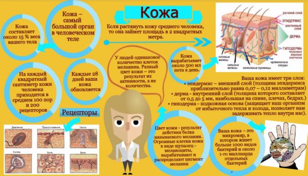 Косметология мультяшки