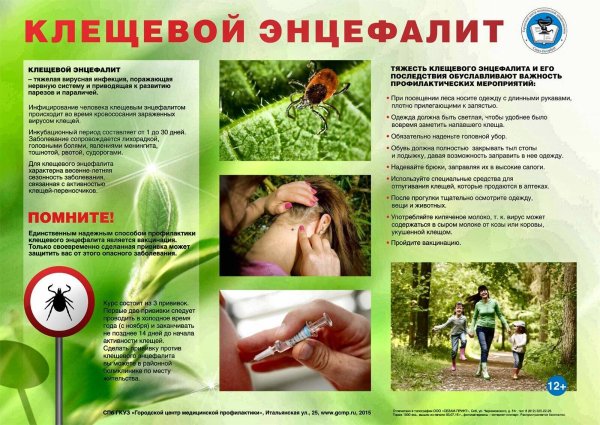 Памятка клещевой энцефалит и его профилактика