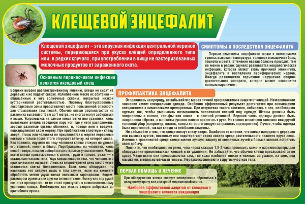 Клещевой энцефалит вакцинация памятка