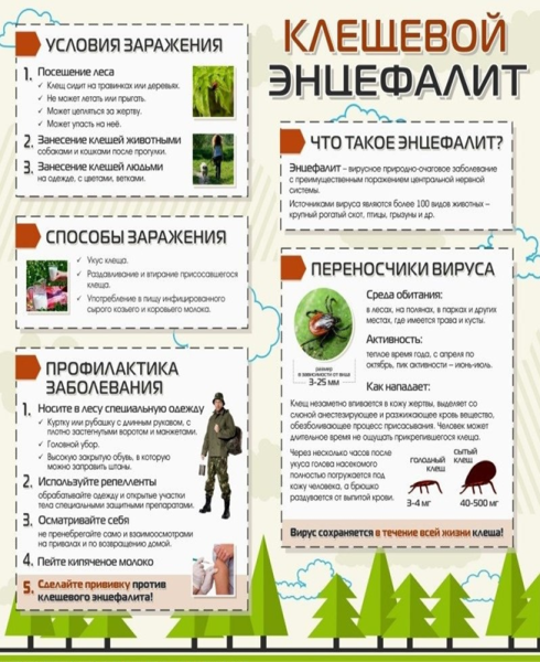 Санбюллетень профилактика клещевого энцефалита