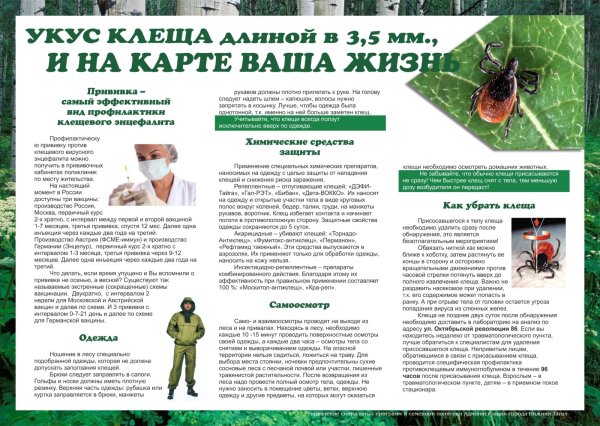 Клещевой энцефалит вакцинация памятка
