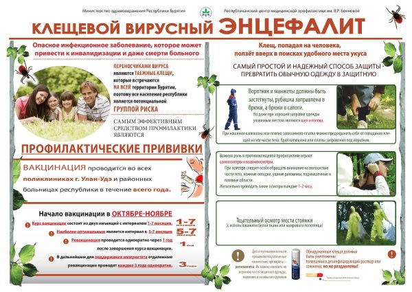 Профилактика клещевого вирусного энцефалита