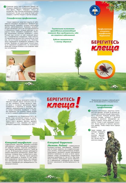 Плакаты по клещевому энцефалиту