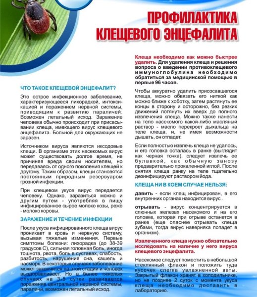 Профилактика инфекции клещевого энцефалита