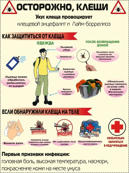 Памятка по клещевому энцефалиту