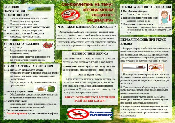Профилактика клещевого энцефалита памятка