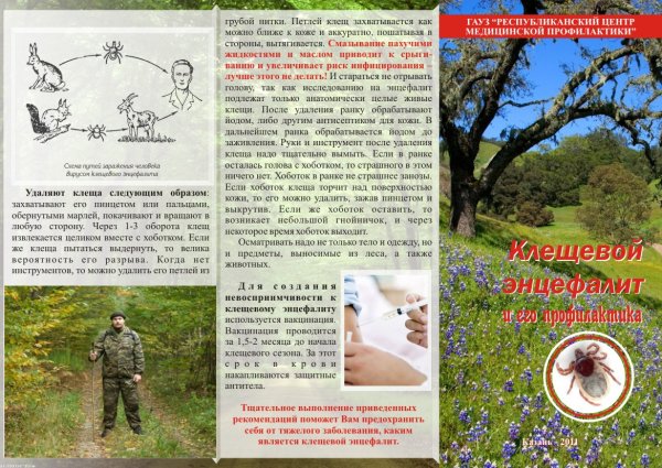 Клещевой энцефалит вакцинация памятка