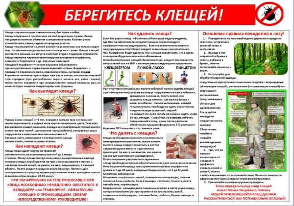 Профилактика энцефалитного клеща брошюрка