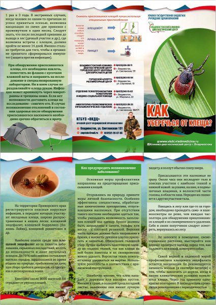 Клещевой энцефалит буклет