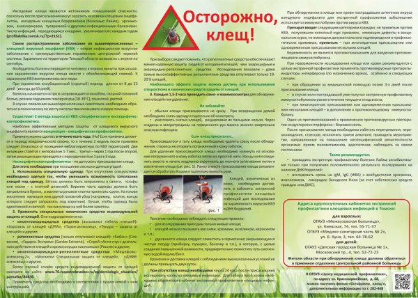 Буклет для родителей клещевой энцефалит
