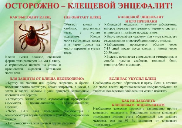 Клещевой энцефалит памятка для родителей