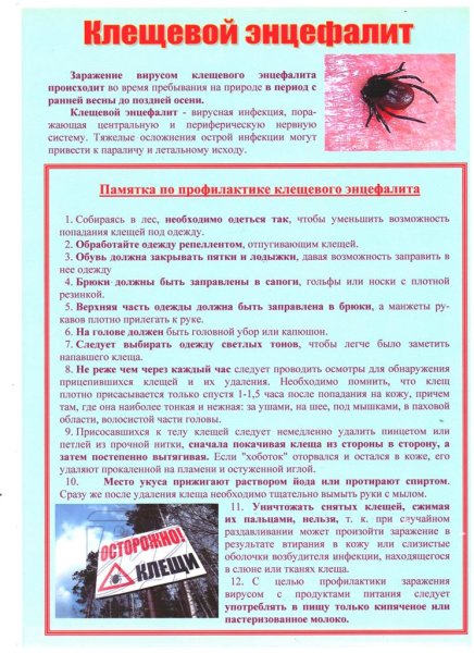 Памятка по профилактике клещевого энцефалита