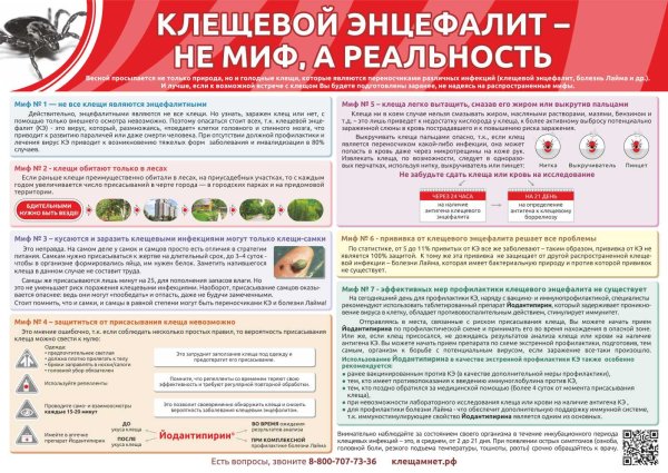 Профилактика инфекции клещевого энцефалита