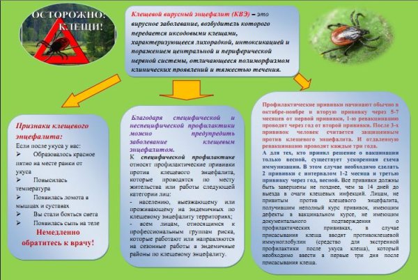 Памятка прививка клещевого энцефалита
