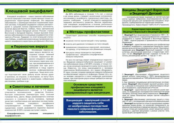 Клещевой энцефалит буклет