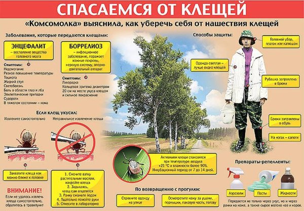 Защита от клещей