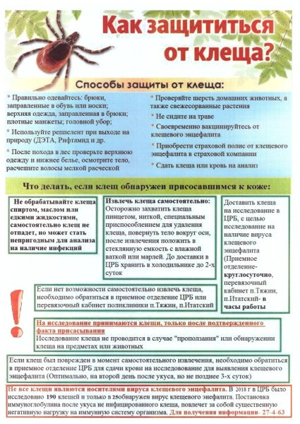 Памятка про клещей Роспотребнадзор