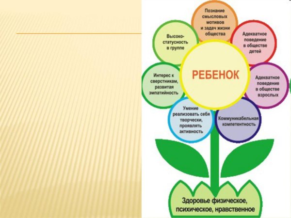 План деятельности школы