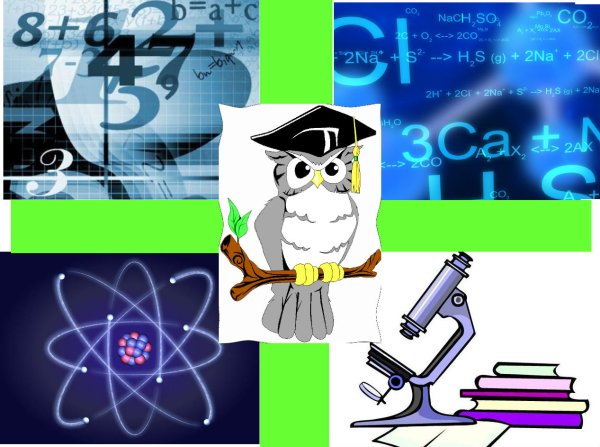 Неделя математики и информатики