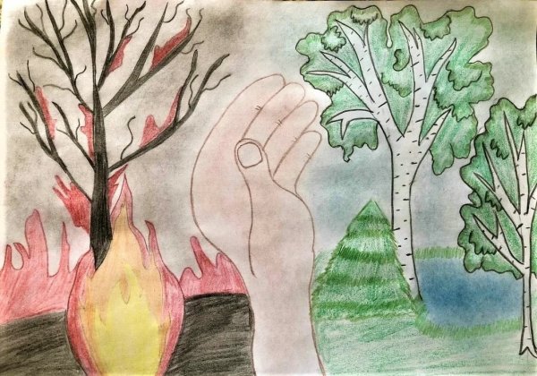 Рисование берегите природу