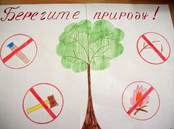 Рисунок береги лес