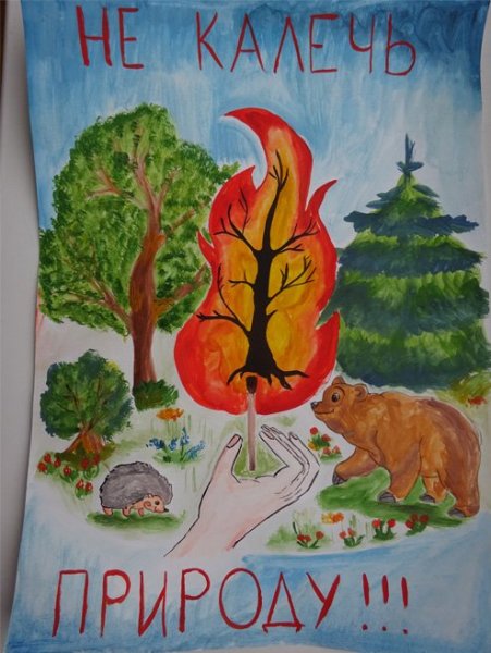 Берегите лес