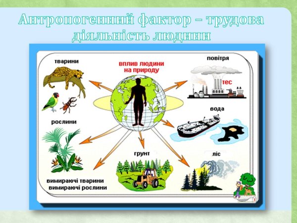 Влияние человека на пр