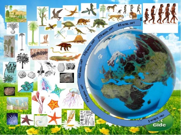 Влияние человека на природу