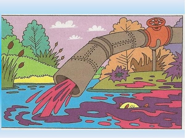 Положительное влияние человека на природу