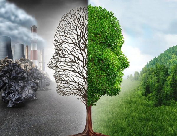 Загрязнение природы для детей