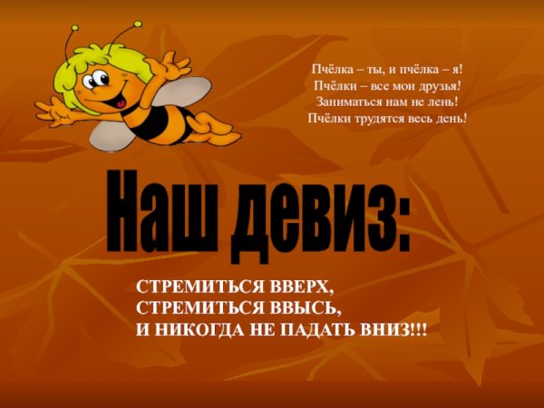 Названия отряда и девиз для лагеря