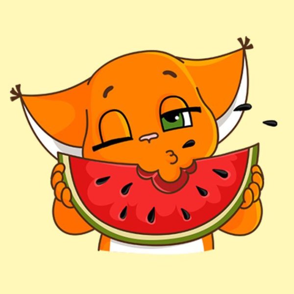 Крошка ши спорт