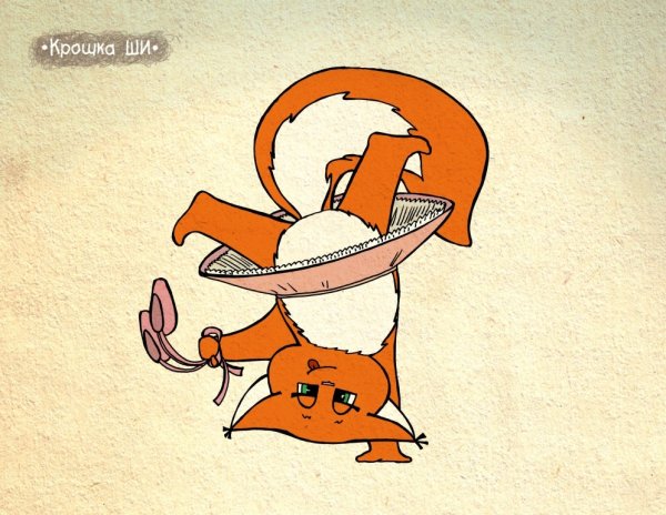 Лисичка крошка ши