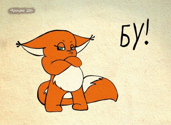 Крошка ши плачет