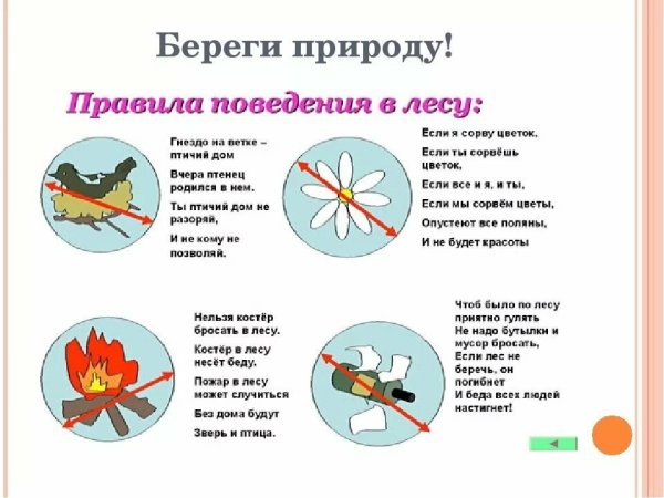 Правила поведения в Дему