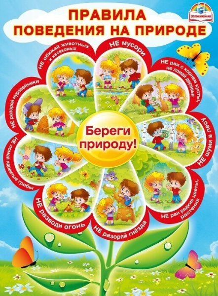 Правила поведения на природе
