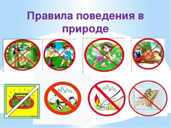 Правила поведения втприроде