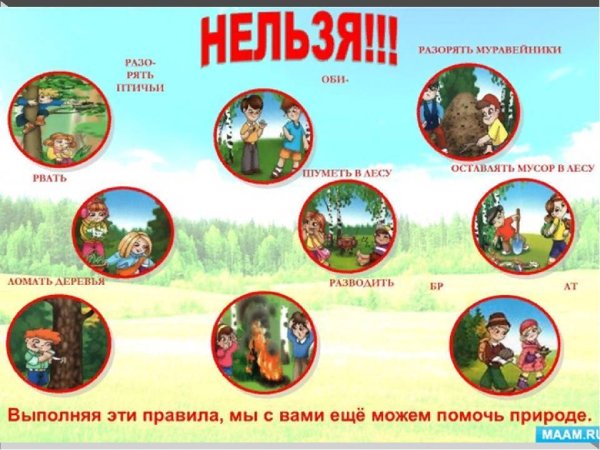 Правила безопасного поведения в лесу для дошкольников