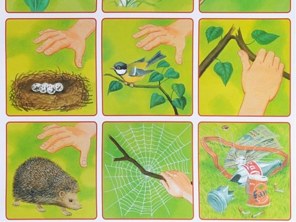 Экологические игры для дошкольников