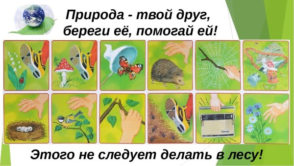 Береги природу для детей