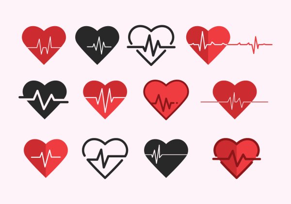 Человеческое сердце вектор