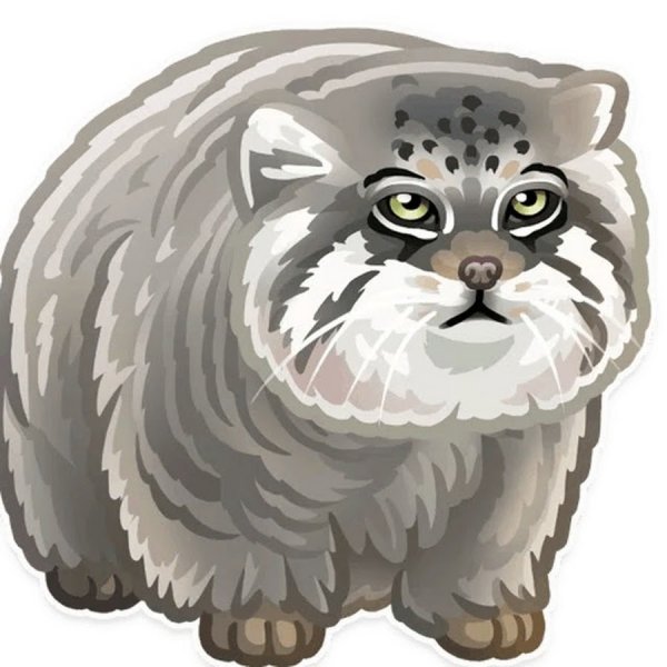 Манул ур Стикеры