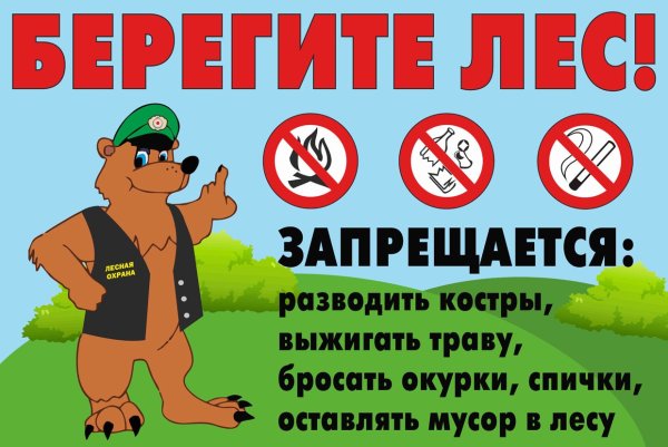 Рисунок не мусорить в лесу